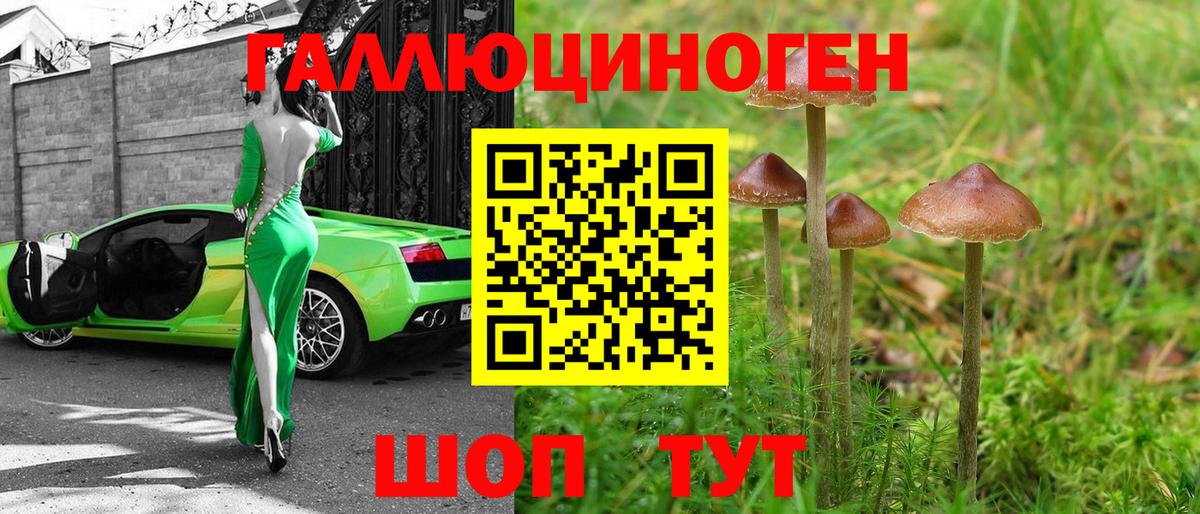 Крымск  Галлюциногенные грибы мицелий  Вход с VPN 